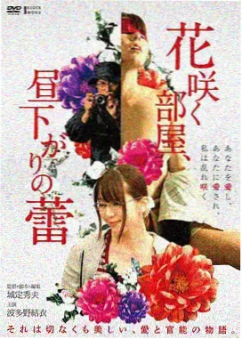 路牌背面条目封面，逆光下的路牌背影